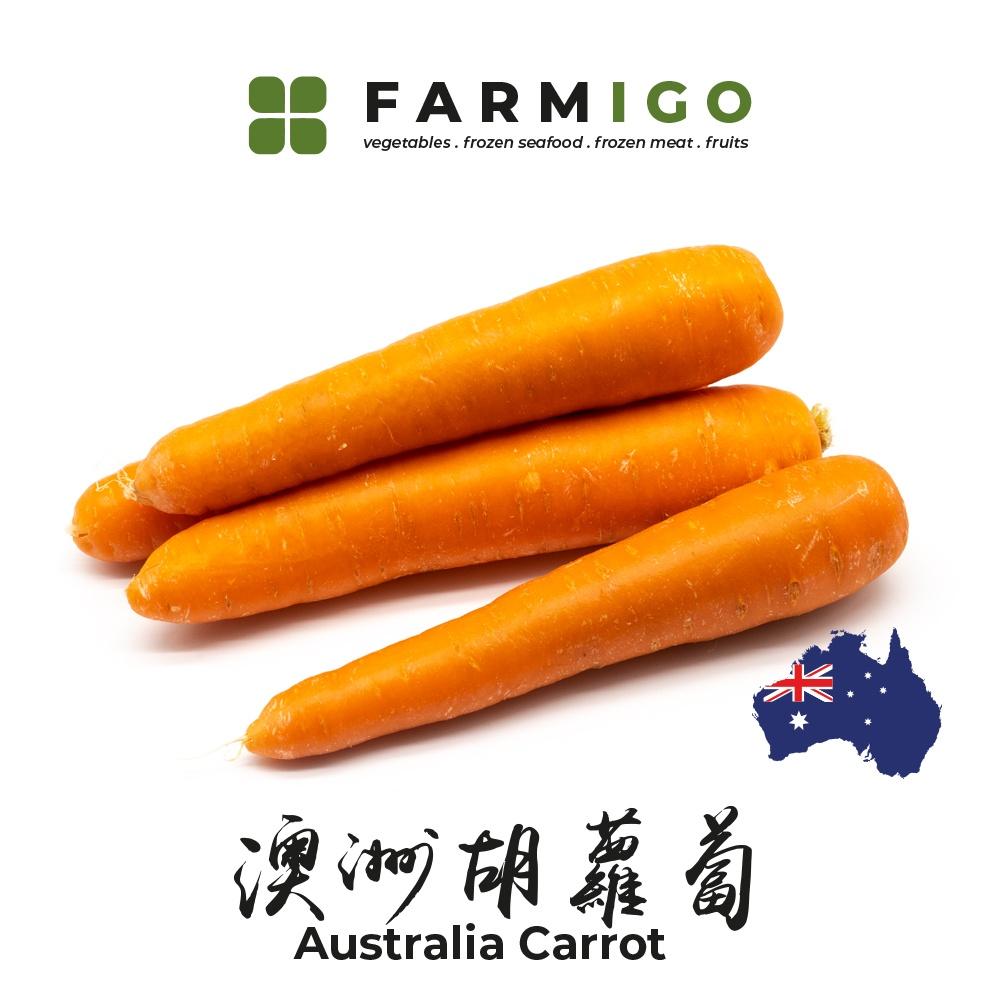 Australia Carrots 红萝卜-澳洲